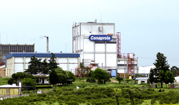 молочный завод conaprole, уругвай